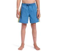 Quiksilver Boy's Everyday Holmes Volley Yth14 Board Shorts (Pack of 1)
