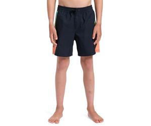 Quiksilver Boy's Everyday Holmes Volley Yth14 Board Shorts (Pack of 1)