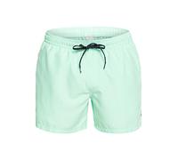 Quiksilver Boys Everyday Volley 15 Boardshort, Blue Green, XS EU