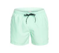 Quiksilver Boys Everyday Volley 15 Swim Short, Blue Green, XL EU