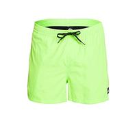 Quiksilver Boys Everyday Volley 15 Swim Shorts, Green, XL EU