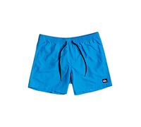 Quiksilver Boys Everyday Volley Youth 13 Swim Short, Blithe, 10 Years EU