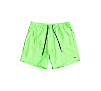 Quiksilver Boys Everyday Volley Youth 13 Boardshort, Green Gecko, 12 Years EU