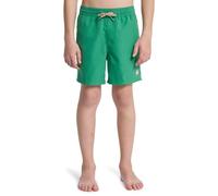 Quiksilver Boy's Everyday Volley YTH 14 Board Shorts, Leprechaun, 12 Years