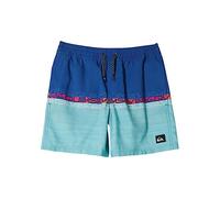 Quiksilver Boys' Everyday Wordblock Vly YTH 14 Board Shorts (Pack of 1)