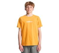 Quiksilver Fineline Short Sleeve T-shirt