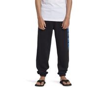 Quiksilver Boy's Graphic Jogger Youth Pants