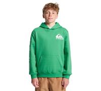 Quiksilver Boys Omni Logo Hoodie Youth Pullover Sweater, Leprechaun, 10 Years EU