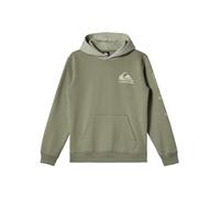 Quiksilver Boys Omni Logo Hoodie Youth Pullover Sweater, Sea Spray, 8 Years EU