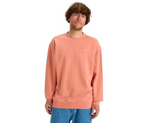 Quiksilver Boy's Salt Water Crew Sweatshirt (pack of 1)