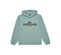 Quiksilver Boy's Typed Out Hoodie Youth Pullover Sweater (pack of 1)