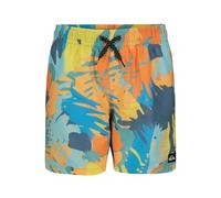 Quiksilver Boy's Volley Swim Trunks with UPF 50+ Sun Protection, Quick Dry Bathing Suit Shorts, Aqua Sky, 10-12