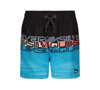 Quiksilver Boy's Volley Swim Trunks with UPF 50+ Sun Protection, Quick Dry Bathing Suit Shorts, Black Word pad, 10-12
