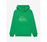 Quiksilver Comp Logo hooded sweatshirt intense green kids - 14