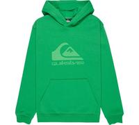 Quiksilver Hoodie COMP LOGO HOODIE YOUTH Boys Green