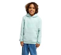 Quiksilver Hoodie COMP LOGO HOODIE YOUTH Boys Blue