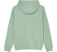 Quiksilver Comp Logo Hoodie
