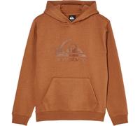 Quiksilver Hoodie COMP LOGO HOODIE YOUTH Boys Brown