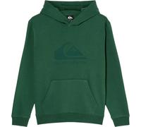 Child hoodie Quiksilver Comp Logo Vert 16 ans