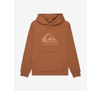 Quiksilver Hoodie COMP LOGO HOODIE YOUTH Boys Brown