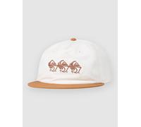 Quiksilver Drifter Canvas Cap bran Uni