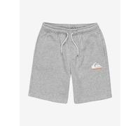 Quiksilver Easy Day Jogger Shorts Grey Kids - 12