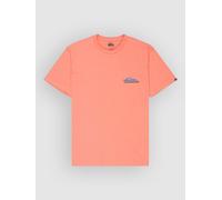 Quiksilver Ev Barrel Paradise T-Shirt desert sand XL