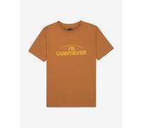 Quiksilver Boy's Ev Corpo Classic Youth T-Shirt, Tobacco Brown, 14 Years