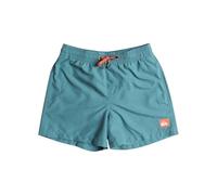 Quiksilver Everyday 13" - Swim Shorts for Boys 8-16