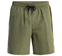 Quiksilver Everyday Clicker Volley 17´´ Swimming Shorts Green L Men