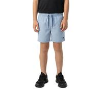 Quiksilver Everyday Deluxe Volley 14 Swimming Shorts