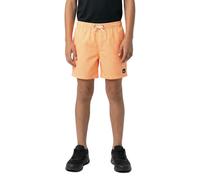 Quiksilver Everyday Deluxe Volley 14´´ Swimming Shorts