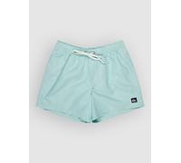 Quiksilver Everyday Deluxe Volley 15 Boardshorts aqua S