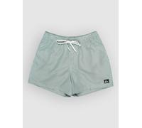 Quiksilver Swim Shorts Everyday Deluxe Volley 15 Mens Green