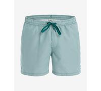 Quiksilver Everyday Deluxe Volley 15´´ Swimming Shorts