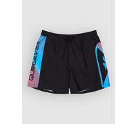 Quiksilver Everyday Holmes Volley 16 Boardshorts black holmes XL