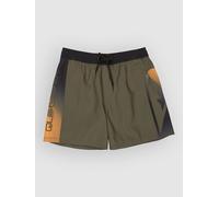Quiksilver Everyday Holmes Volley 16 Boardshorts grape leaf holmes M