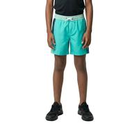Quiksilver Everyday Holmes Volley 16´´ Swimming Shorts