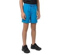 Quiksilver Everyday Malibu Volley 14´´ Swimming Shorts