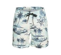 Quiksilver Everyday Mix 17" - Swim Shorts for Men