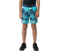 Quiksilver Everyday Printed Volley 13´´ Swimming Shorts