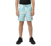 Quiksilver Everyday Printed Volley 14´´ Swimming Shorts