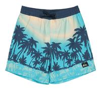 Quiksilver Everyday Printed Volley 14´´ Swimming Shorts Blue 16 Years Boy