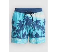 Quiksilver Everyday Printed Volley 15´´ Swimming Shorts Blue M Men