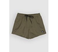 Quiksilver Everyday Solid Volley 15 Boardshorts grape leaf S