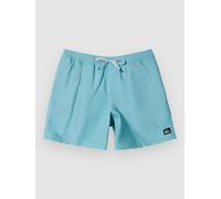 Quiksilver Boys Everyday Solid Volley 15 Swimsuit, Blue, XXL EU