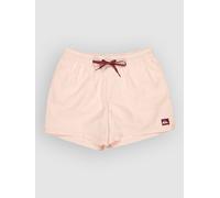 Quiksilver Everyday 15" - Swim Shorts for Men