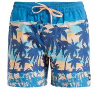 Quiksilver - Everyday Straight Volley 15 - Boardshorts size M, blue