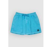 Quiksilver Everyday Surfwash Volley 15´´ Swimming Shorts Blue S Men