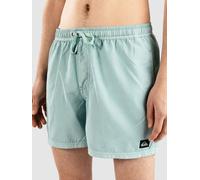 Quiksilver Everyday Surfwash Volley 15 Boardshorts aquifer M